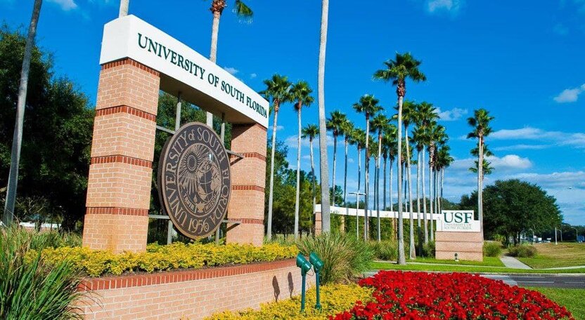 AQShning Janubiy Florida universitetida  bakalavr bosqichida o‘qish uchun grant dasturi