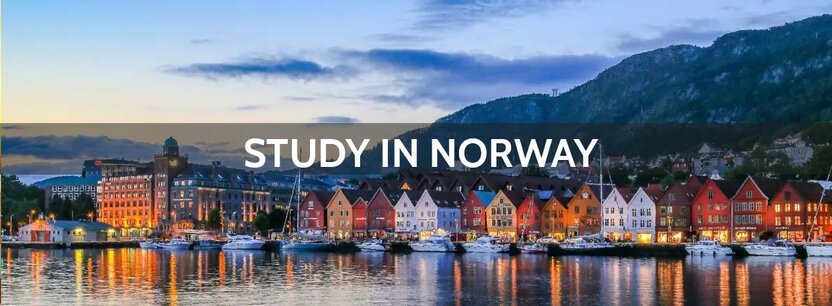 Действительно ли высшее образование в Норвегии абсолютно бесплатно?