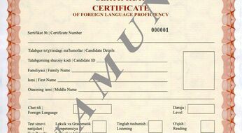 B1 sertifikati bilan OTMga kirish: imtiyozdan foydalanish tartibi