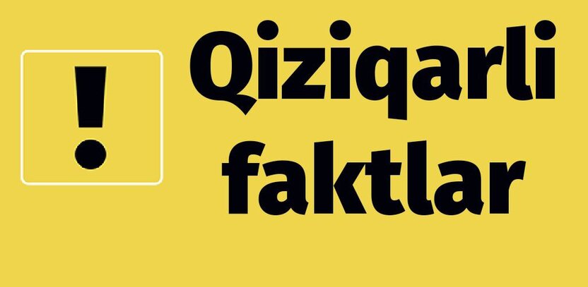 Eng qiziqarli 10 ta fakt