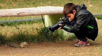 Young Wildlife Photographer of the Year: Yovvoyi tabiat hamda hayvonlarni suratga oling hamda sovrinlarga ega bo‘ling.
