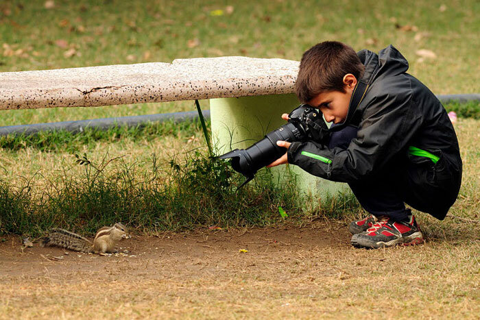 Young Wildlife Photographer of the Year: Yovvoyi tabiat hamda hayvonlarni suratga oling hamda sovrinlarga ega bo‘ling.