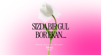 Websterdan maxsus loyiha - 