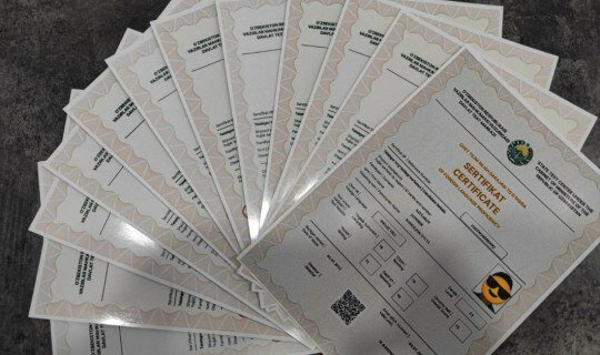 Milliy sertifikat olishning 5 ta eng oson yo‘li