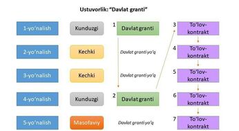 Davlat granti ustuvorligi: Kunduzgi, kechki va masofaviy ta’limda qanday ishlaydi?