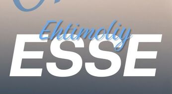 Esse quyidagi kompozitsion qurilishga ega bo‘lishi lozim: