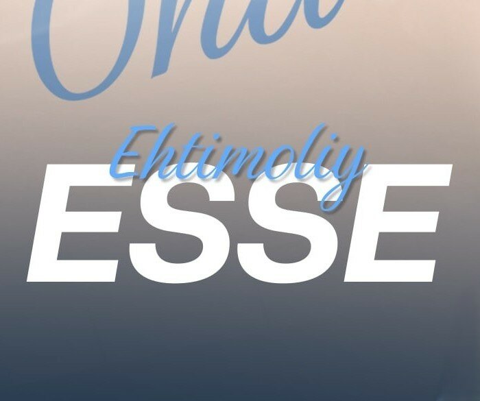 Esse quyidagi kompozitsion qurilishga ega bo‘lishi lozim: