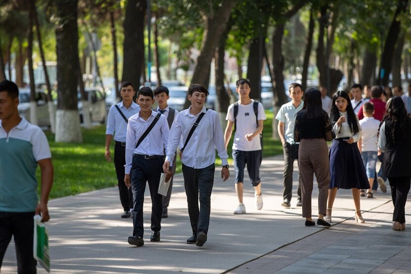 Talabalarga ijara to‘lovlarining bir qismini qoplab berish tizimi haqida batafsil ma’lumot