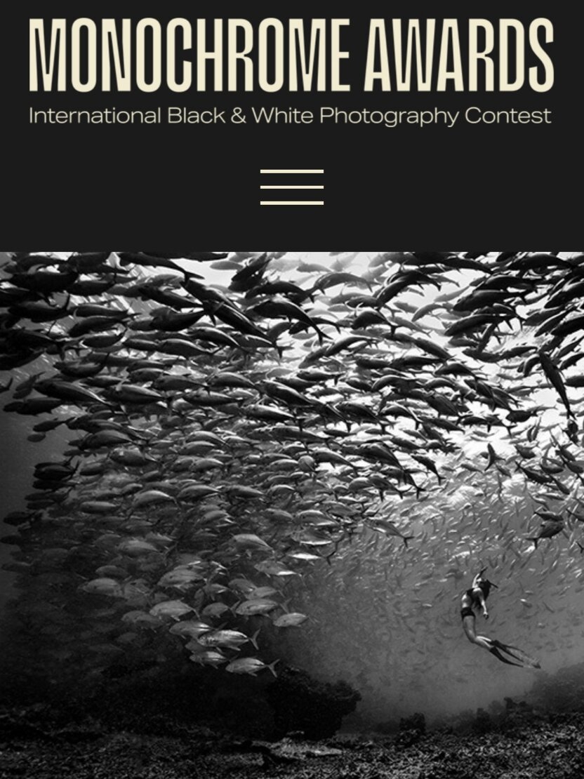 Monochrome Photography Awards