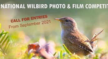 International Wildbird Photo Competition -  Qushlar haqida Fototanlov: €1500  yutib olish va Fransiyaga sayohat qilish imkoniyati