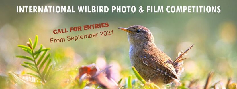 International Wildbird Photo Competition -  Qushlar haqida Fototanlov: €1500  yutib olish va Fransiyaga sayohat qilish imkoniyati