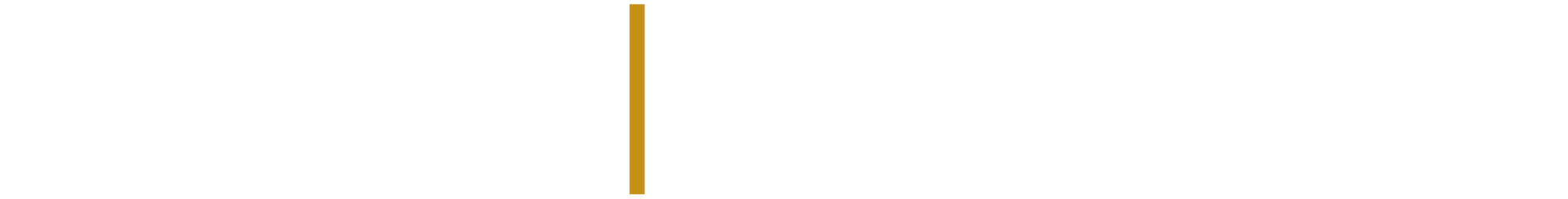 Central Asian University